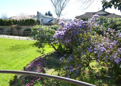 Spring flowers adding colour to Kopernik Lodge grounds