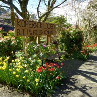 Kopernik Lodge front entrance sign with tulips and daffodils